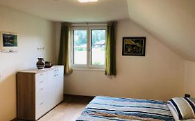 Alpine Appartments Ausseerland