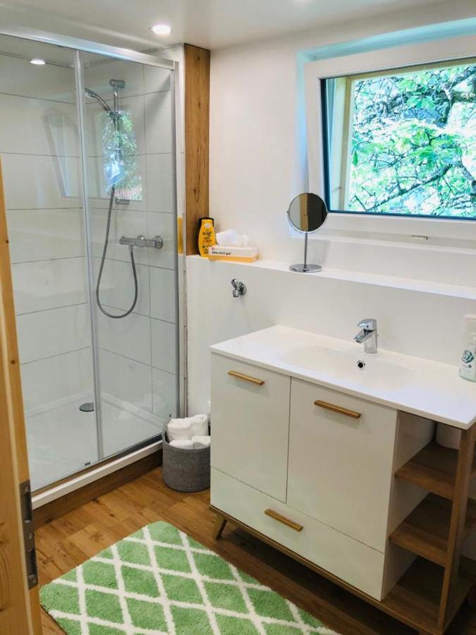 Alpine Appartments Ausseerland Bad Aussee Zewnętrze zdjęcie