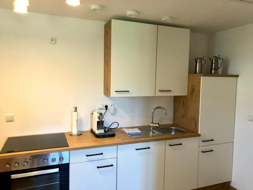 Alpine Appartments Ausseerland Bad Aussee Zewnętrze zdjęcie